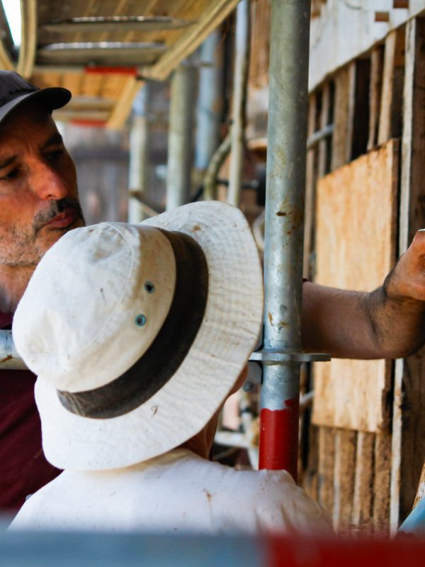 Chantier torchis, Le Perrey (27) ©ARPE Normandie